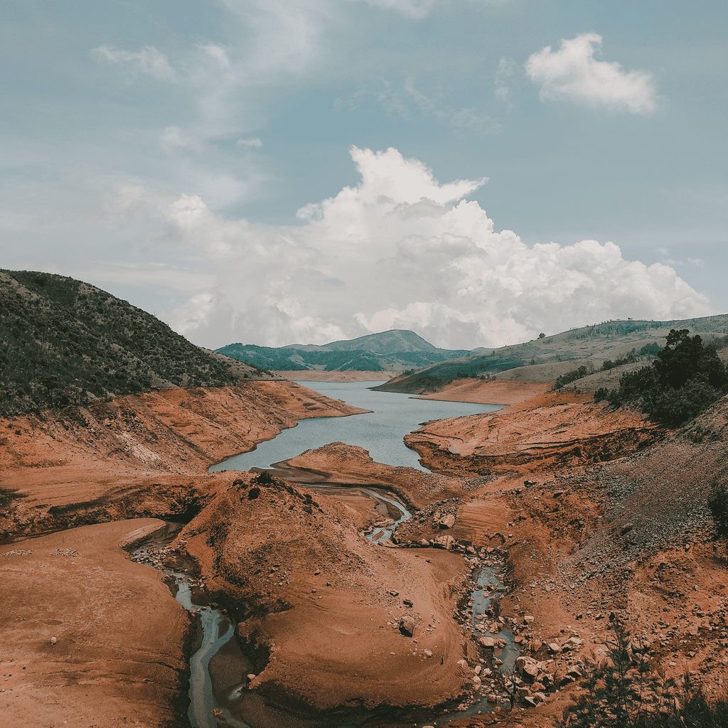 Strategies for Hard Times - Image of dried up lake